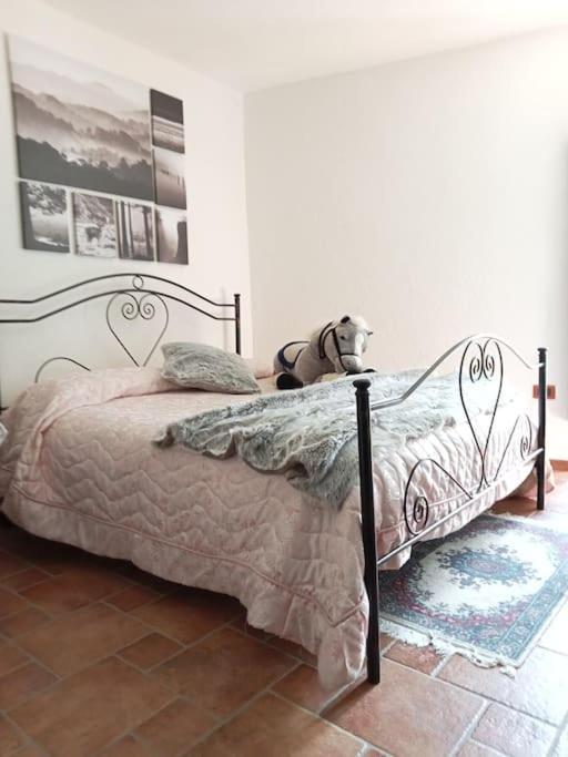 Вілла Il Borgo Della Zittola Montenero Val Cocchiara Екстер'єр фото