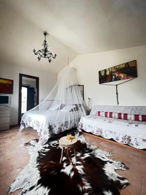Вілла Il Borgo Della Zittola Montenero Val Cocchiara Екстер'єр фото