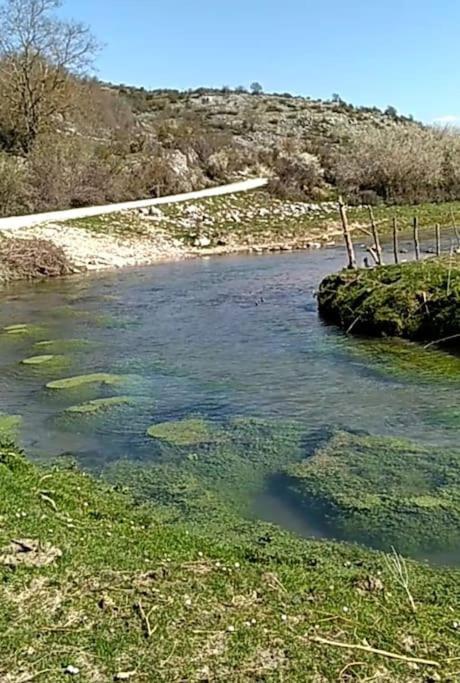 Вілла Il Borgo Della Zittola Montenero Val Cocchiara Екстер'єр фото